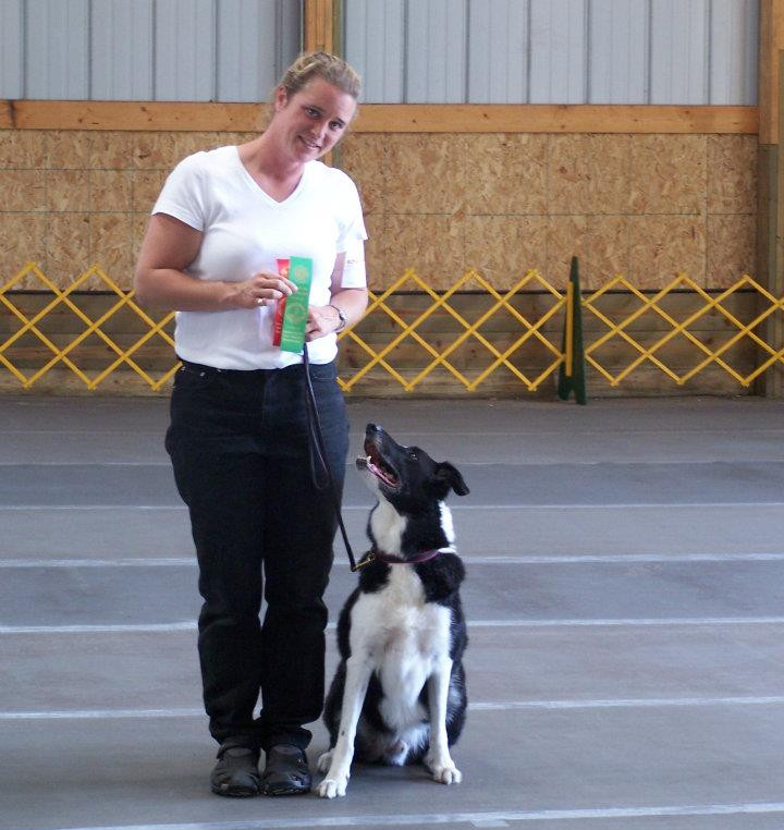 Dog trainer with prize ribbons and dog on leash looking up at her