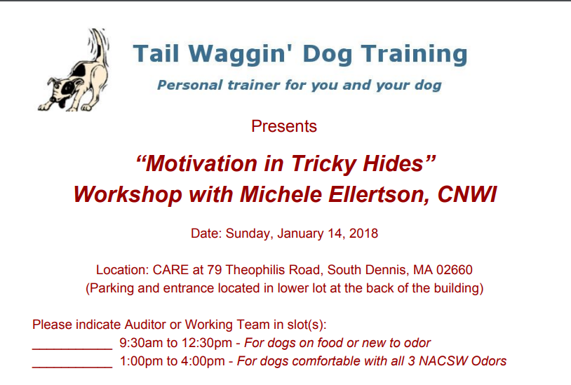 Dog training workshop flyer photo